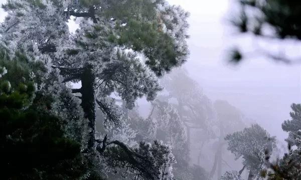 傅平山：老山轮战中牺牲最高级别的侦察兵，遗体被敌人浇入水泥中