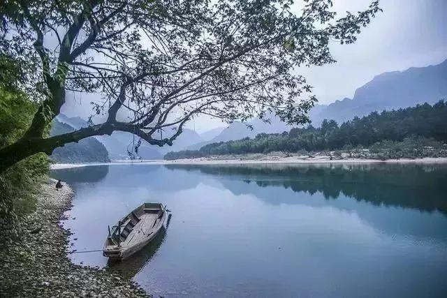 助力农民增收取得“十五连冠” 丽水市优质消薄产品销售额首破亿元