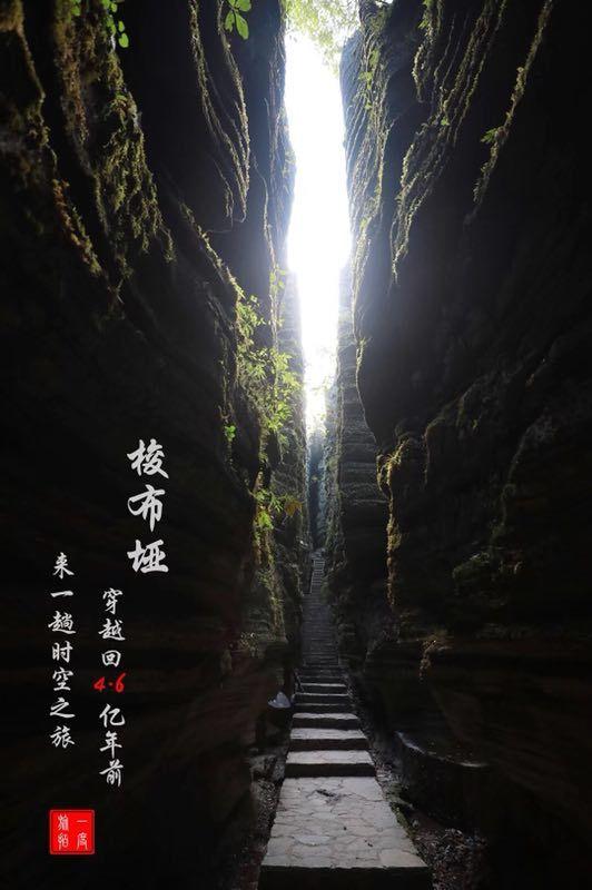 逃离木质的房屋