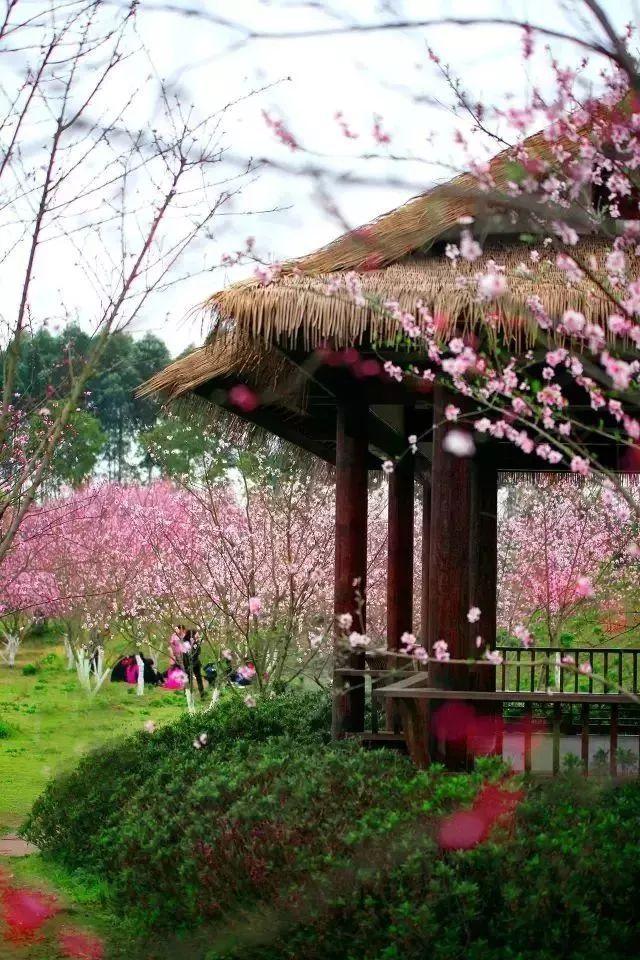 沪江开心词场