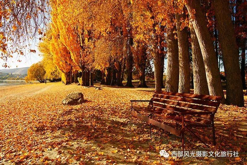 我们学校有人在楼上骂老师，然后不知道是谁，年纪主任说查到直接开除，他真的能查到是谁吗？