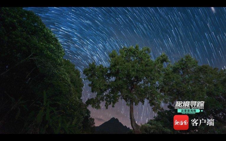 陕西需要千百个来辉武