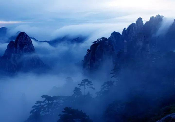 中听 | 应及时撕开“伪科普”的画皮
