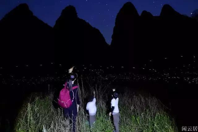 饥饿的松鼠救援