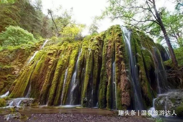 全民剧本大师内置菜单