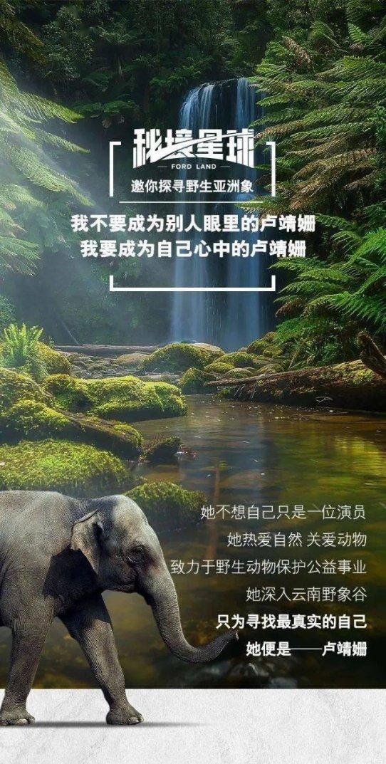 别装了《繁花》，其实就是一个男人跟四个女人暧昧纠葛的故事