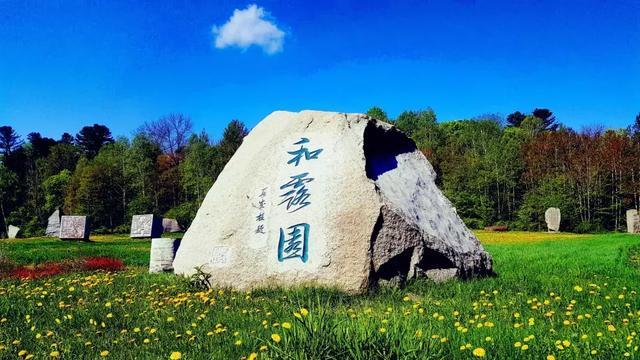 瑞德的冒险之旅中文版