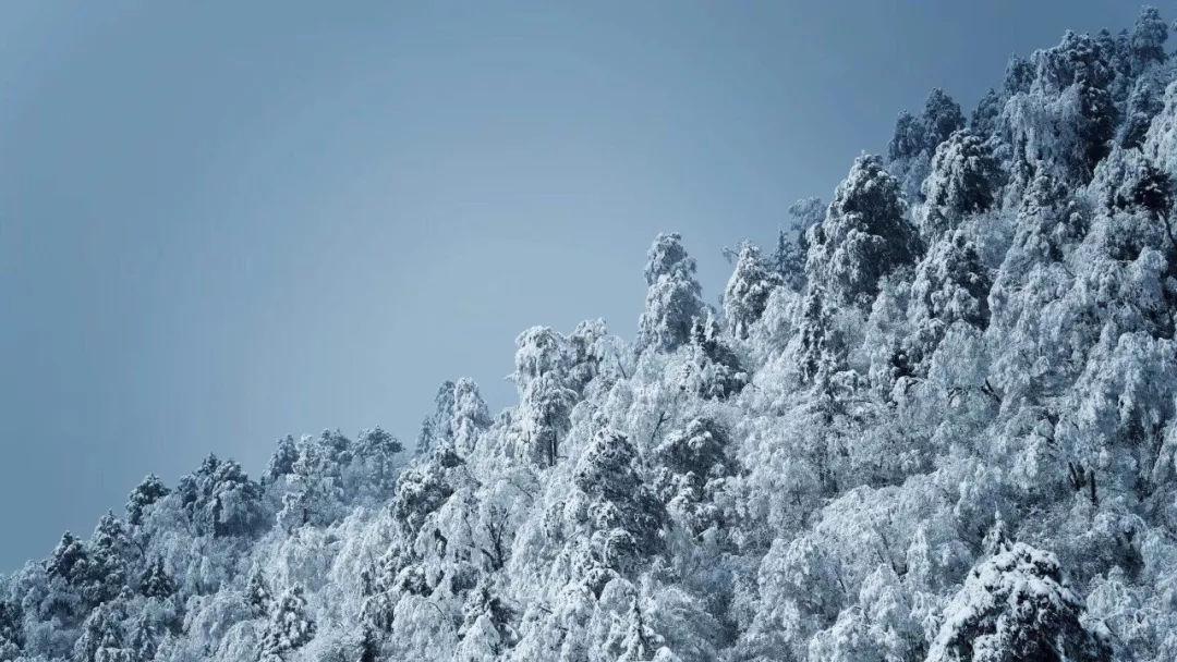 田洪良:主要货币短线操作指南 美指周二上涨在103.65之下遇阻