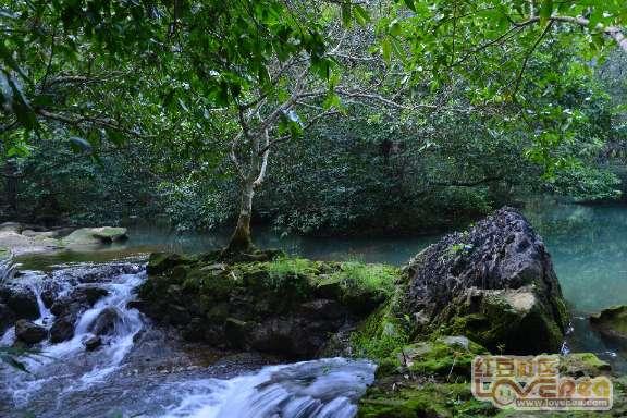 真实的温泉关战役：斯巴达300勇士，只战死298人，国王被枭首示众