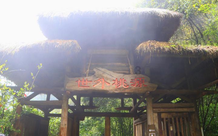 QQ企鹅