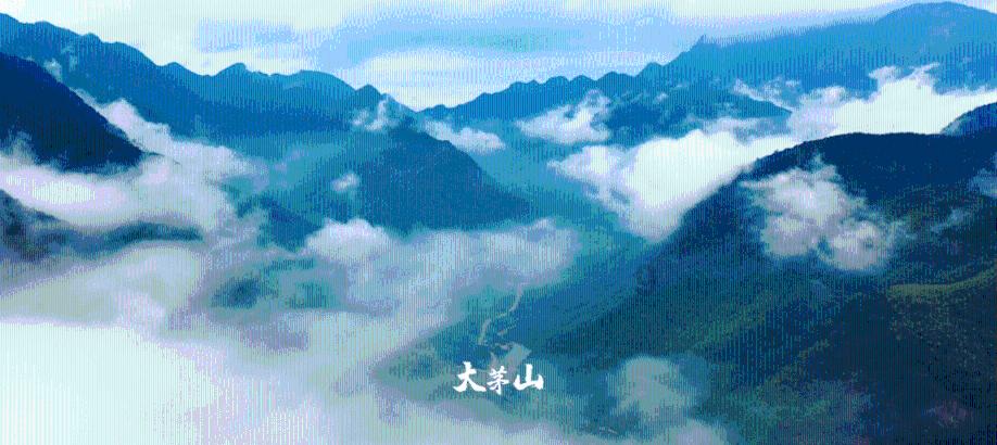 边境之旅