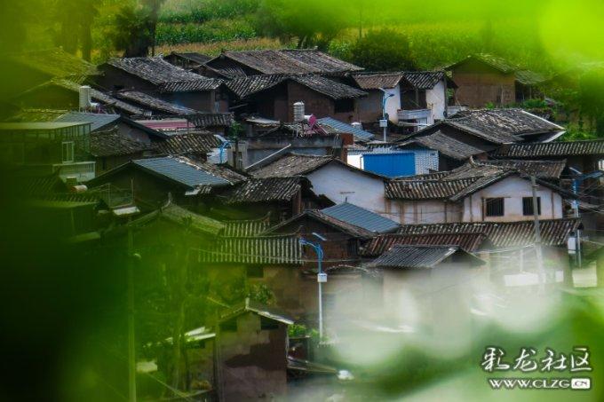 拯救精灵的土地6