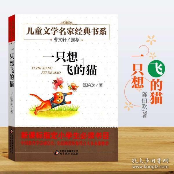 救援印度女子