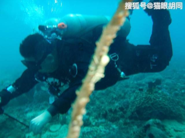 “我们是翻了一座山过来的”,“全村人都到齐了”!记者直击:凉水村民翻山越岭,步行到灾区支援