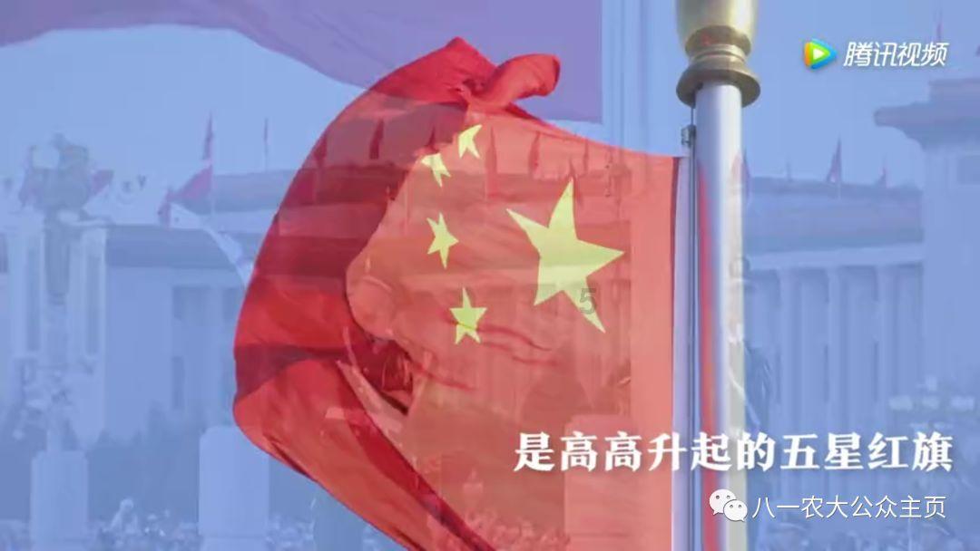 老虎总是单打独斗，论单体战斗力的话是否高过群居的狮子？游戏画面