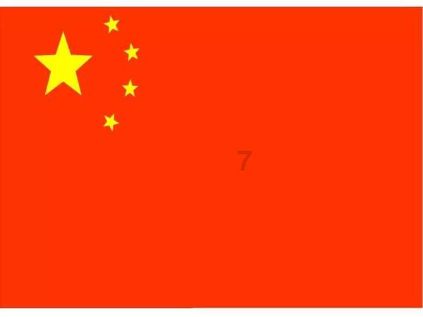 单身狗大作战