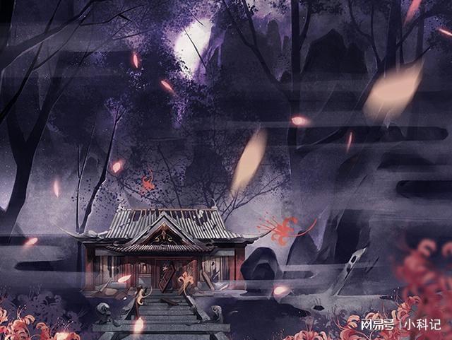 美人鱼游玩
