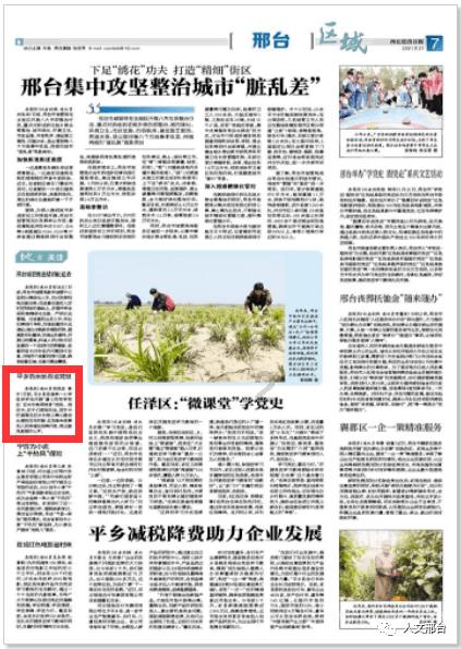 胡金秋、费尔德当选CBA第十一周最佳球员