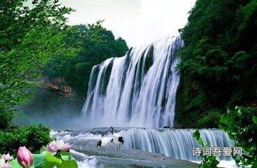 家庭养什么狗最干净