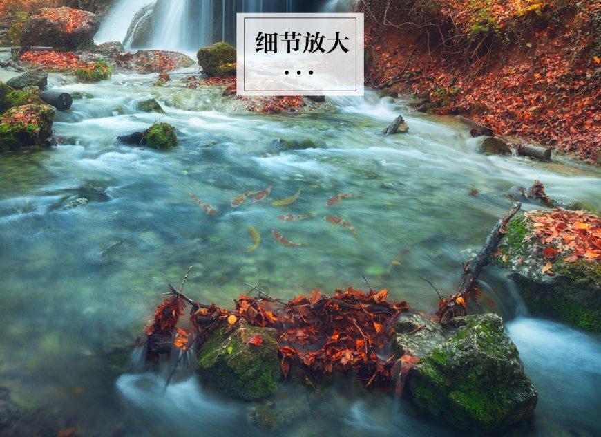 凶猛的洪水