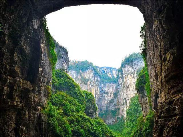 救援小袋熊