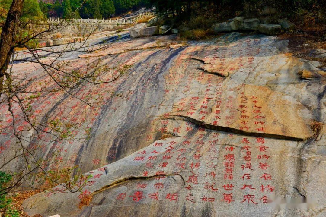 夜过借园闻笛从哪四个方面写了诗人寻友过程所见之感？
