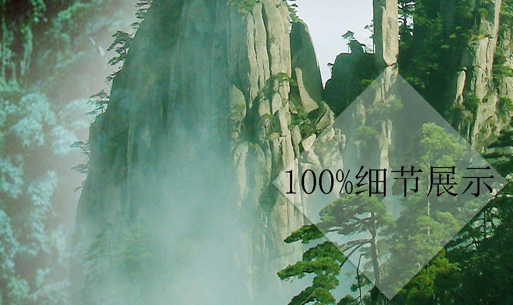 100天学霸养成