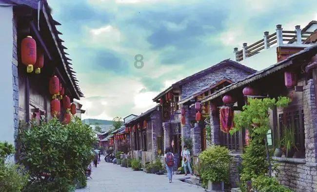 侨看两会｜为浙江发展建言献策，今年浙江省侨联界别委员带来这些提案