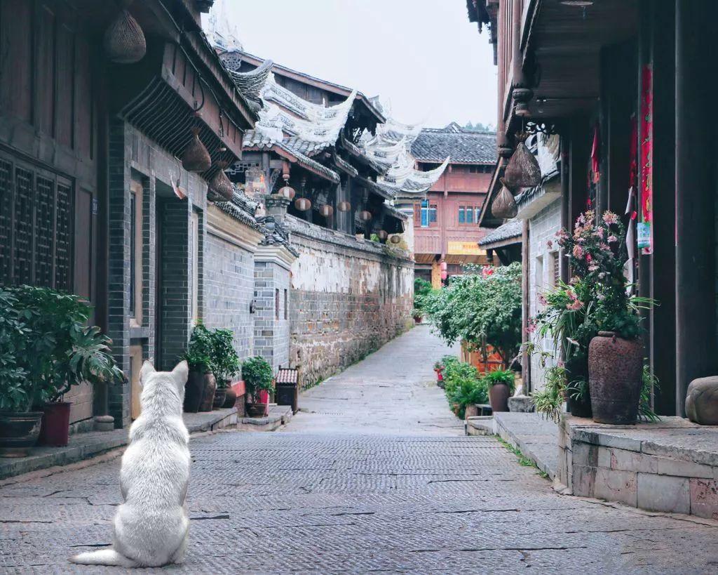 女生喜欢掐你代表什么？游戏画面