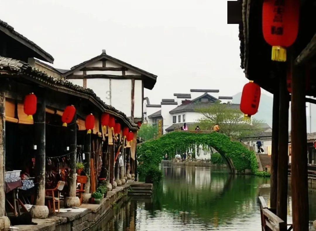 母绣眼鸟求爱怎么叫游戏画面