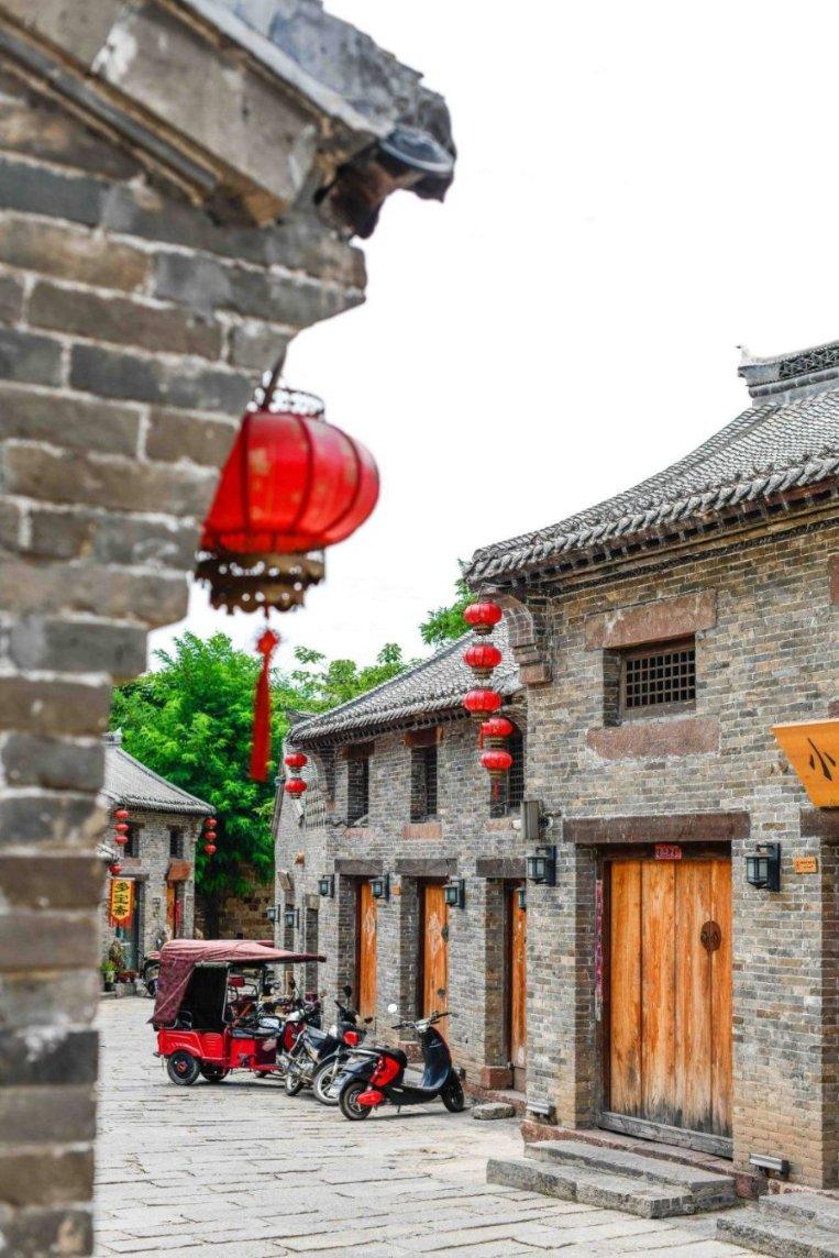动物帮帮忙保卫家园