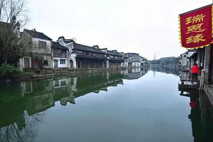 动物帮帮忙保卫家园