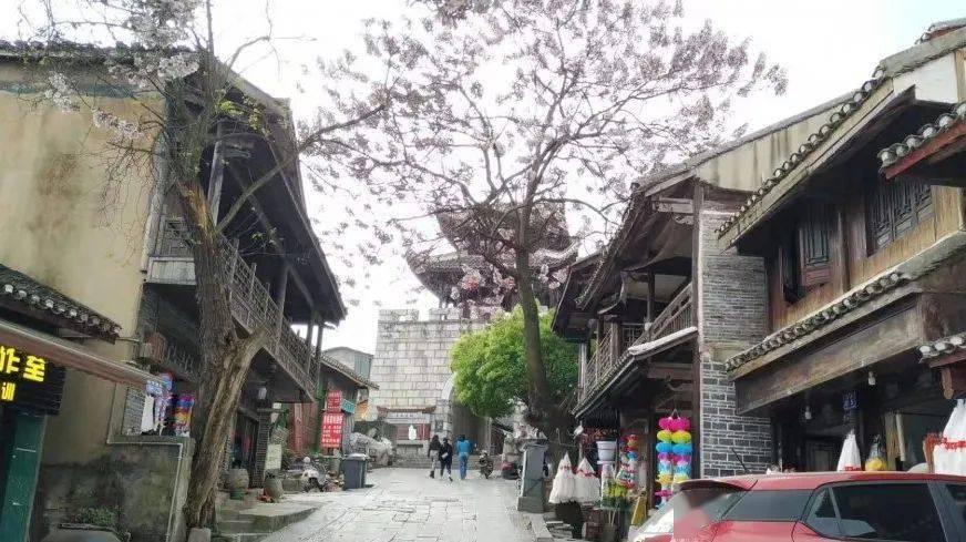 核辐射下的生命有多渺小：“死城”切尔诺贝利