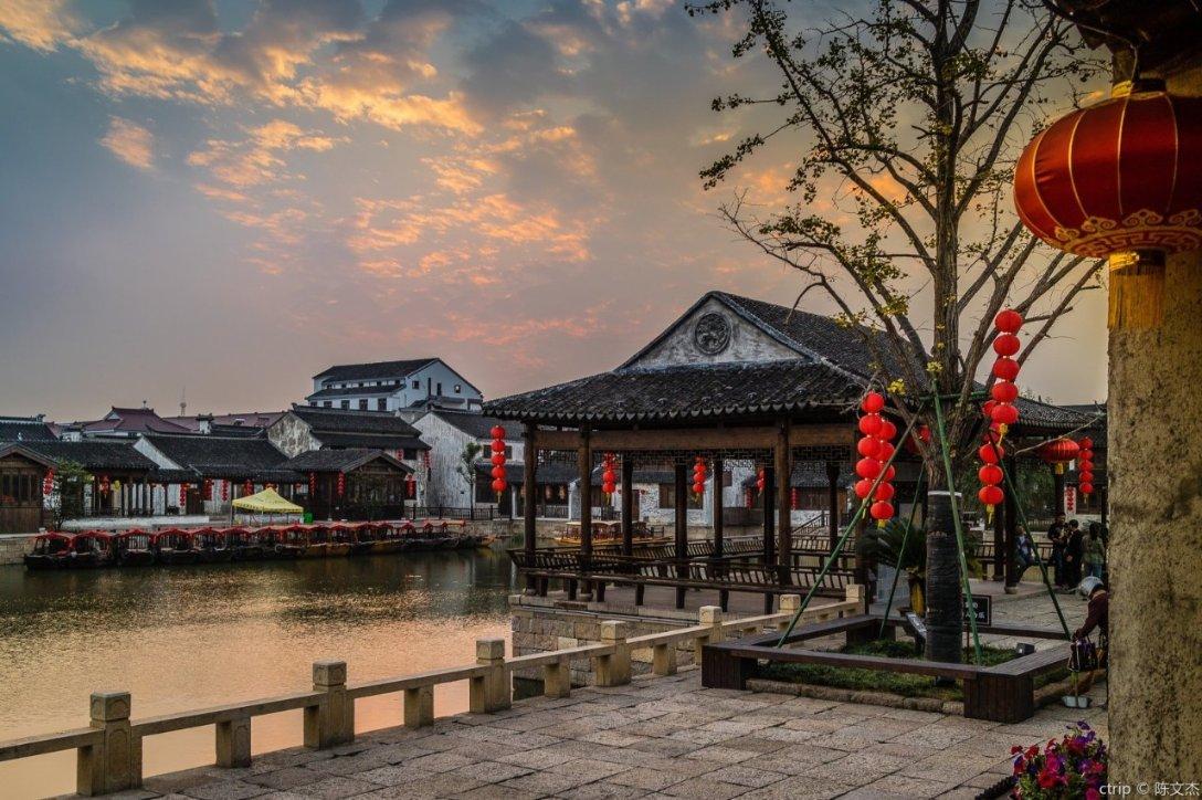 动物帮帮忙保卫家园