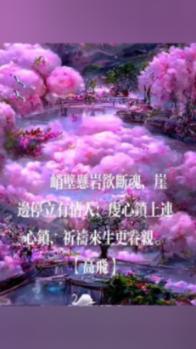 质量效应：仙女座